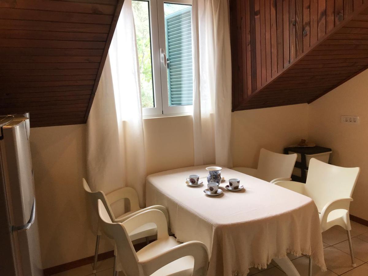Amazing Sea View Guest House Adriatica Kotor Bagian luar foto